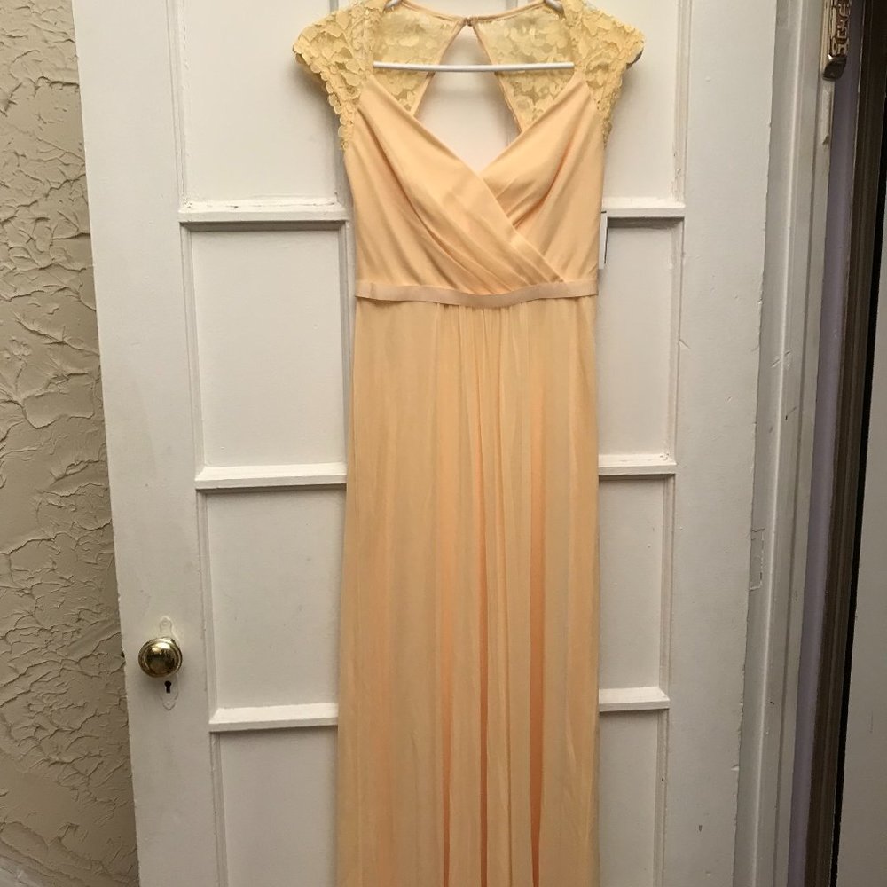 David's Bridal MAXI DRESS tags attached